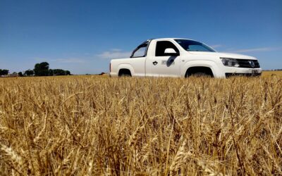 La mirada del canal desde adentro