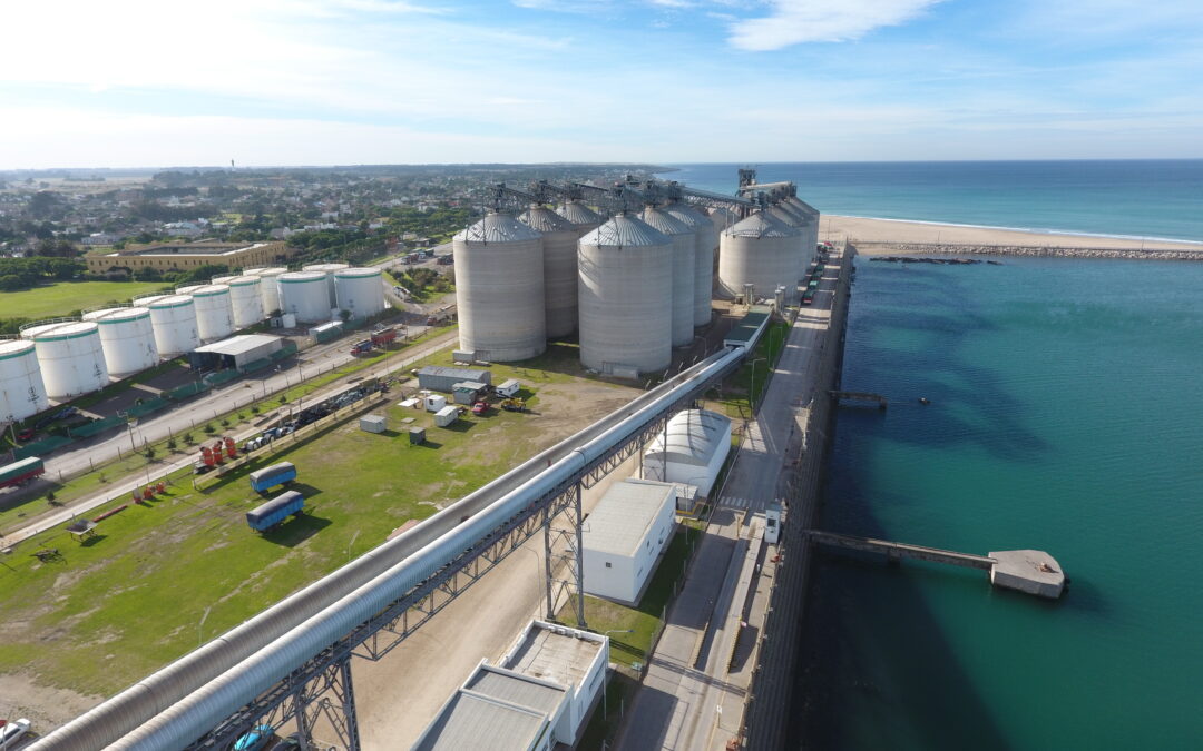 Alea y Cía S.A.: Tres décadas construyendo una cultura empresarial sólida