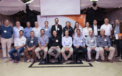 Renovación de autoridades